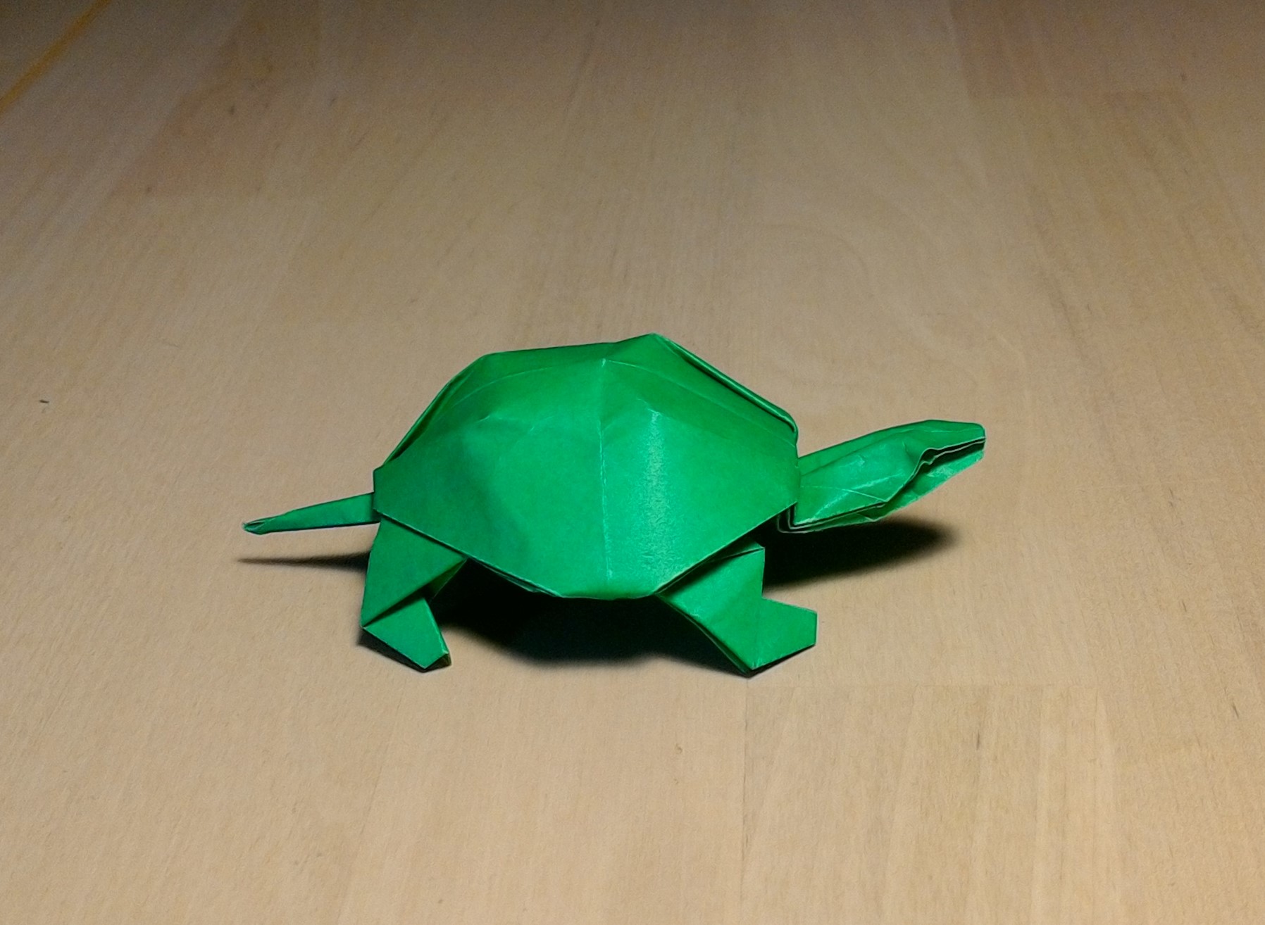 Turtle